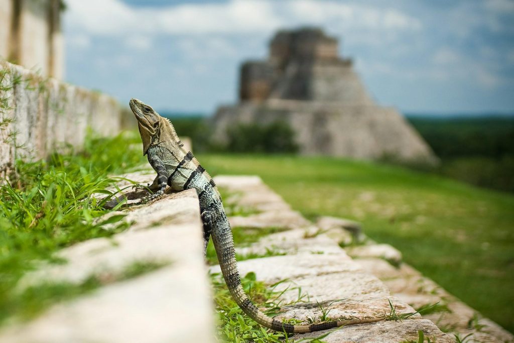 Fuentes de agua de los aztecas